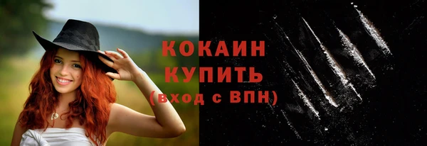меф Горняк
