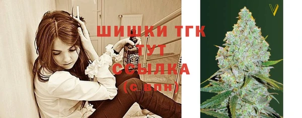прущая мука Гусиноозёрск