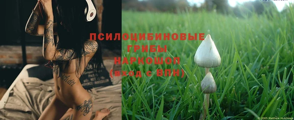 меф Гусь-Хрустальный